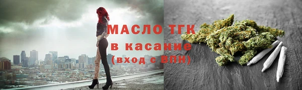 мет Алексин