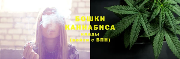 шишки Инсар