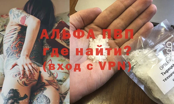 мет Алексин