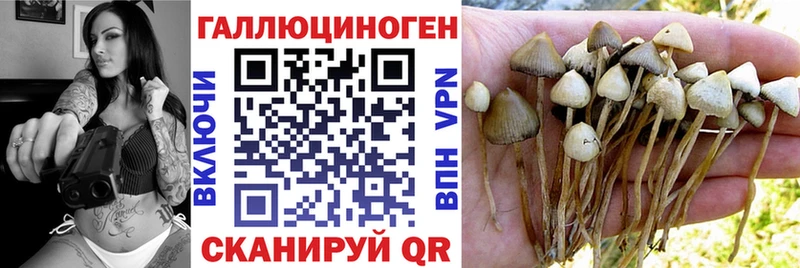 блэк спрут tor  мориарти как зайти  Псилоцибиновые грибы ЛСД  Игра 